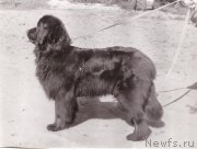 Превью фото № 208084