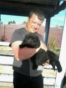 Превью фото № 208089