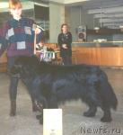 Превью фото № 2081