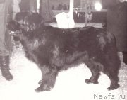 Превью фото № 208100