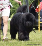 Превью фото № 208101