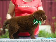 Превью фото № 208108