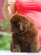 Превью фото № 208113