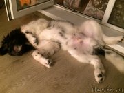 Превью фото № 208139