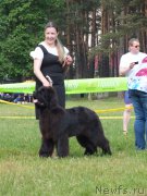 Превью фото № 208156