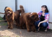 Превью фото № 208179