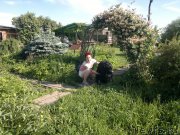 Превью фото № 208187