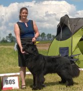 Превью фото № 208200