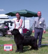 Превью фото № 208201