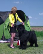 Превью фото № 208203