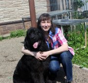 Превью фото № 208221