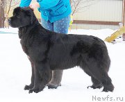 Превью фото № 208226