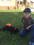 Превью фото № 208259