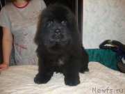 Превью фото № 208284