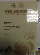 Превью фото № 208311