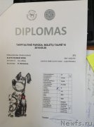 Превью фото № 208314