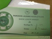 Превью фото № 208317