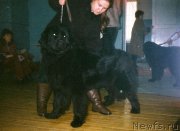 Превью фото № 208336