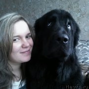 Превью фото № 208365