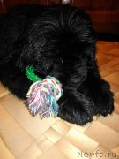 Превью фото № 208379