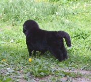 Превью фото № 208428