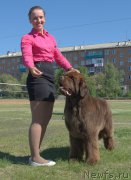 Превью фото № 208466