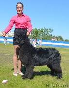 Превью фото № 208468