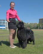 Превью фото № 208470