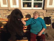 Превью фото № 208486