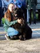 Превью фото № 208590