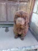 Превью фото № 208633