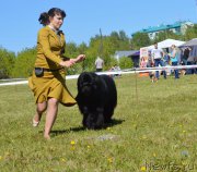Превью фото № 208636