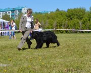 Превью фото № 208638