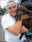 Превью фото № 208641