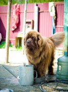 Превью фото № 208643