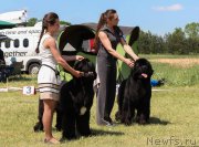 Превью фото № 208713