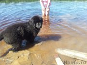 Превью фото № 208743