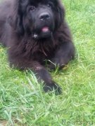 Превью фото № 208746