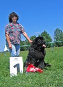 Превью фото № 208806