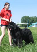 Превью фото № 208815