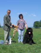 Превью фото № 208820