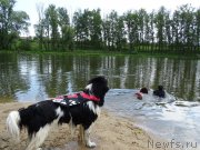 Превью фото № 208822