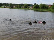 Превью фото № 208827