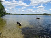 Превью фото № 208829