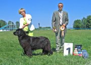 Превью фото № 208837