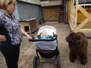 Превью фото № 208856