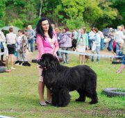 Превью фото № 208860