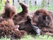 Превью фото № 208876