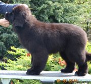 Превью фото № 208946