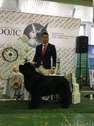 Превью фото № 208984